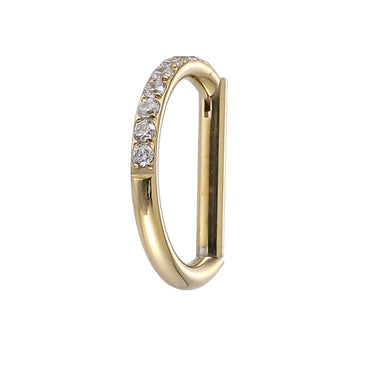 BCM52 Stainless Steel Hinged BCR with CZ(D shape) AAB CO..