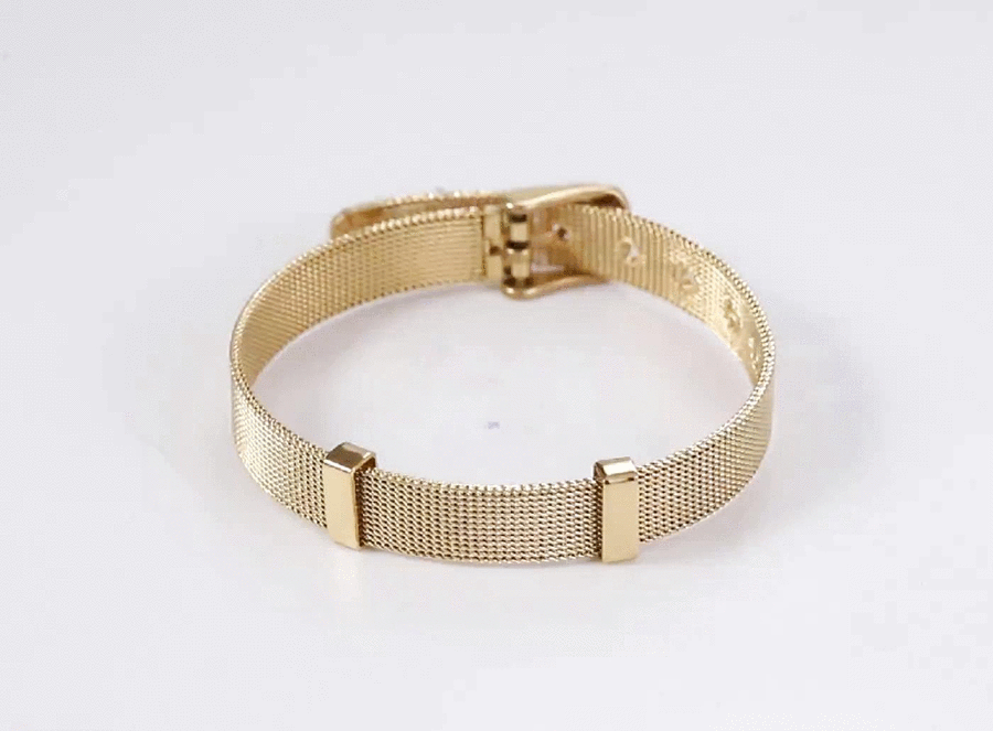 BSS349-2 STAINLESS STEEL BRACELET
