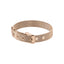 BSS349-2 STAINLESS STEEL BRACELET