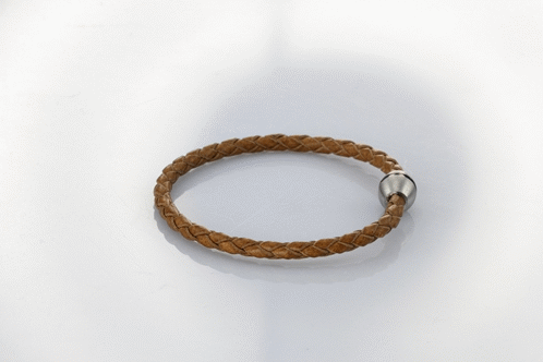 BSS362 STAINLESS STEEL BRACELET