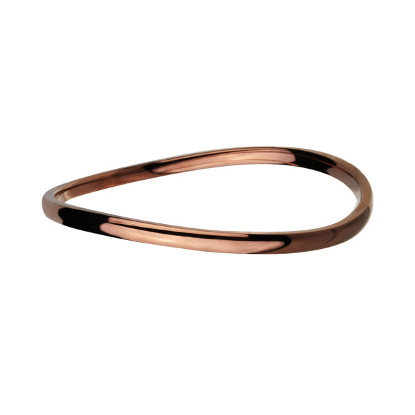BSSG43 STAINLESS STEEL BANGLE