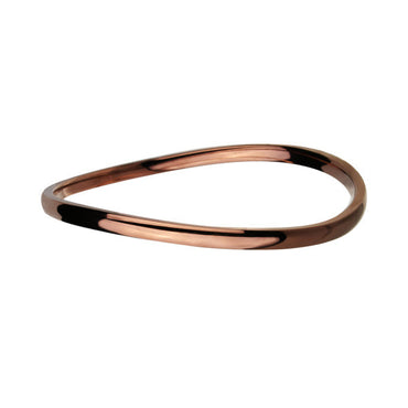 BSSG43 STAINLESS STEEL BANGLE AAB CO..