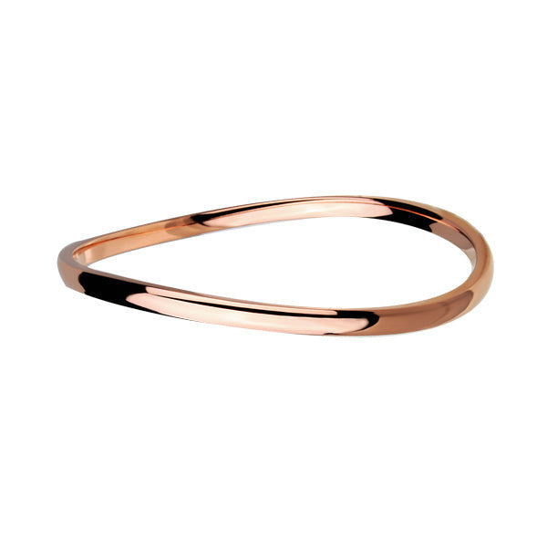 BSSG43 STAINLESS STEEL BANGLE AAB CO..