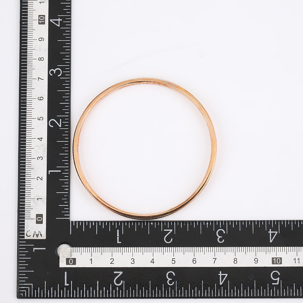 BSSG43 STAINLESS STEEL BANGLE AAB CO..