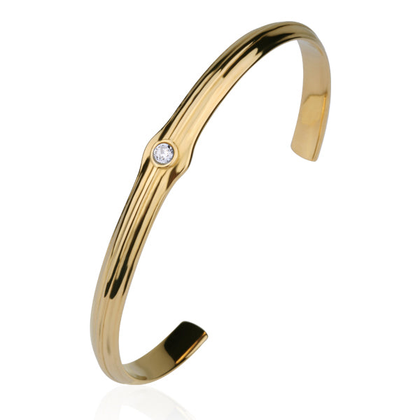 BSSG62 STAINLESS STEEL BANGLE PVD CZ AAB CO..
