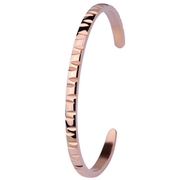 BSSG99 STAINLESS STEEL BANGLE AAB CO..