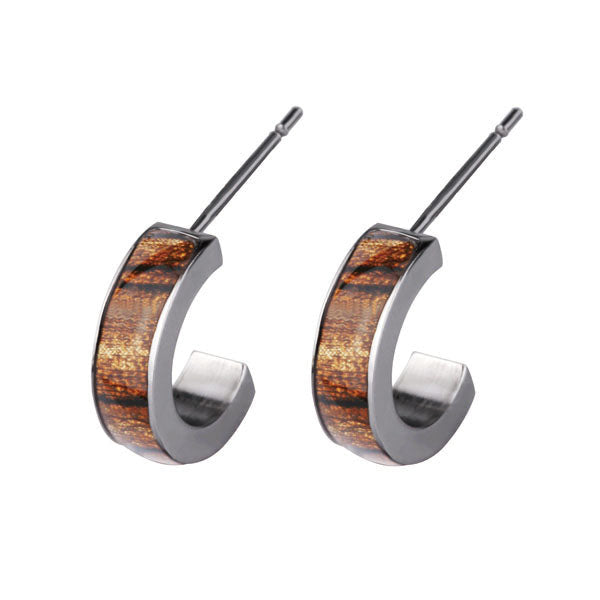 ESH49 STAINLESS STEEL EAR STUD AAB CO..