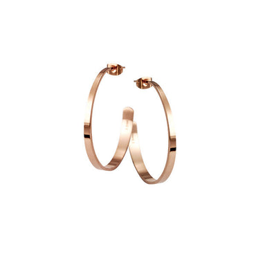 ESS114 STAINLESS STEEL EARRING PVD AAB CO..