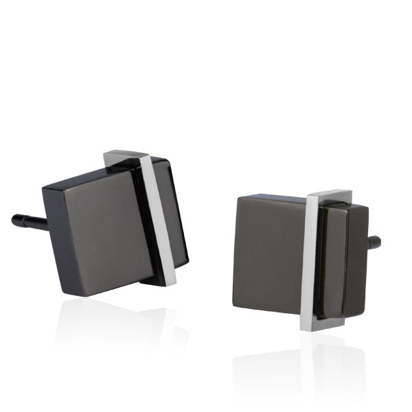 ESS183 STAINLESS STEEL EARRING PVD AAB CO..