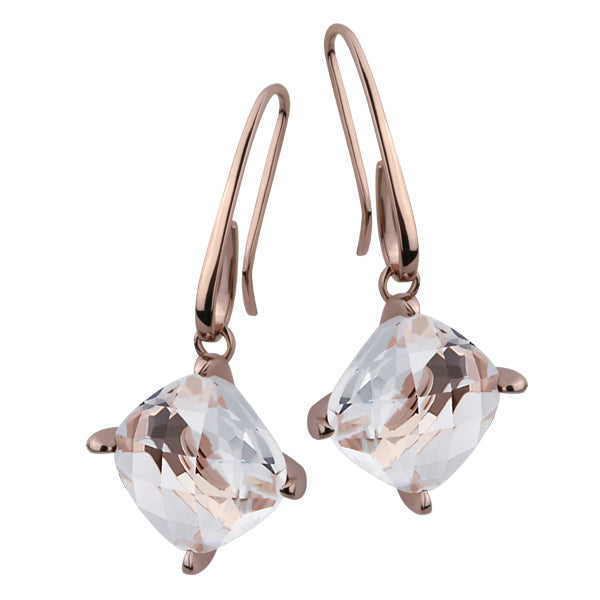 ESS197 STAINLESS STEEL EARRING AAB CO..