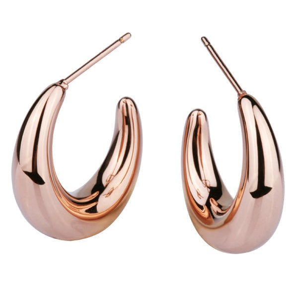 ESS202 STAINLESS STEEL EARRING