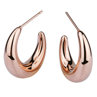 ESS202 STAINLESS STEEL EARRING AAB CO..