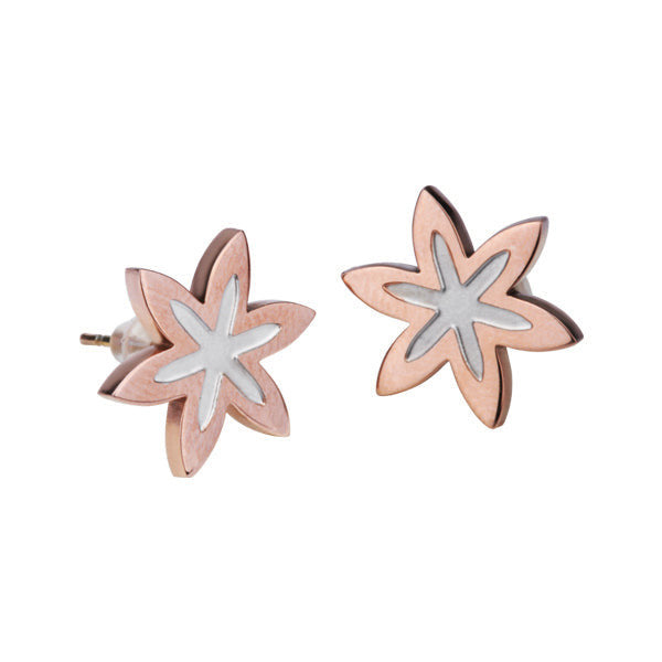 ESS206 STAINLESS STEEL EARRING AAB CO..