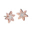 ESS206 STAINLESS STEEL EARRING AAB CO..