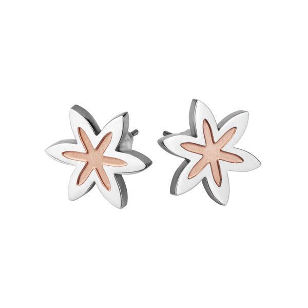 ESS206 STAINLESS STEEL EARRING AAB CO..