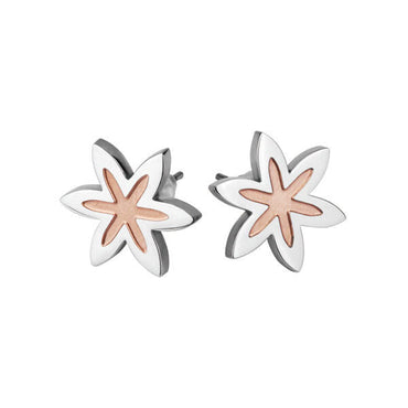 ESS206 STAINLESS STEEL EARRING AAB CO..