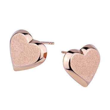 ESS254 STAINLESS STEEL EARRING AAB CO..