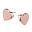 ESS254 STAINLESS STEEL EARRING AAB CO..