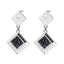 ESS271 STAINLESS STEEL EARRING AAB CO..