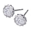 ESS288 STAINLESS STEEL EARRING