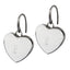 ESS291  STAINLESS STEEL EARRING AAB CO..