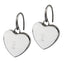 ESS291  STAINLESS STEEL EARRING