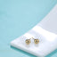 ESS300 STAINLESS STEEL EARRING