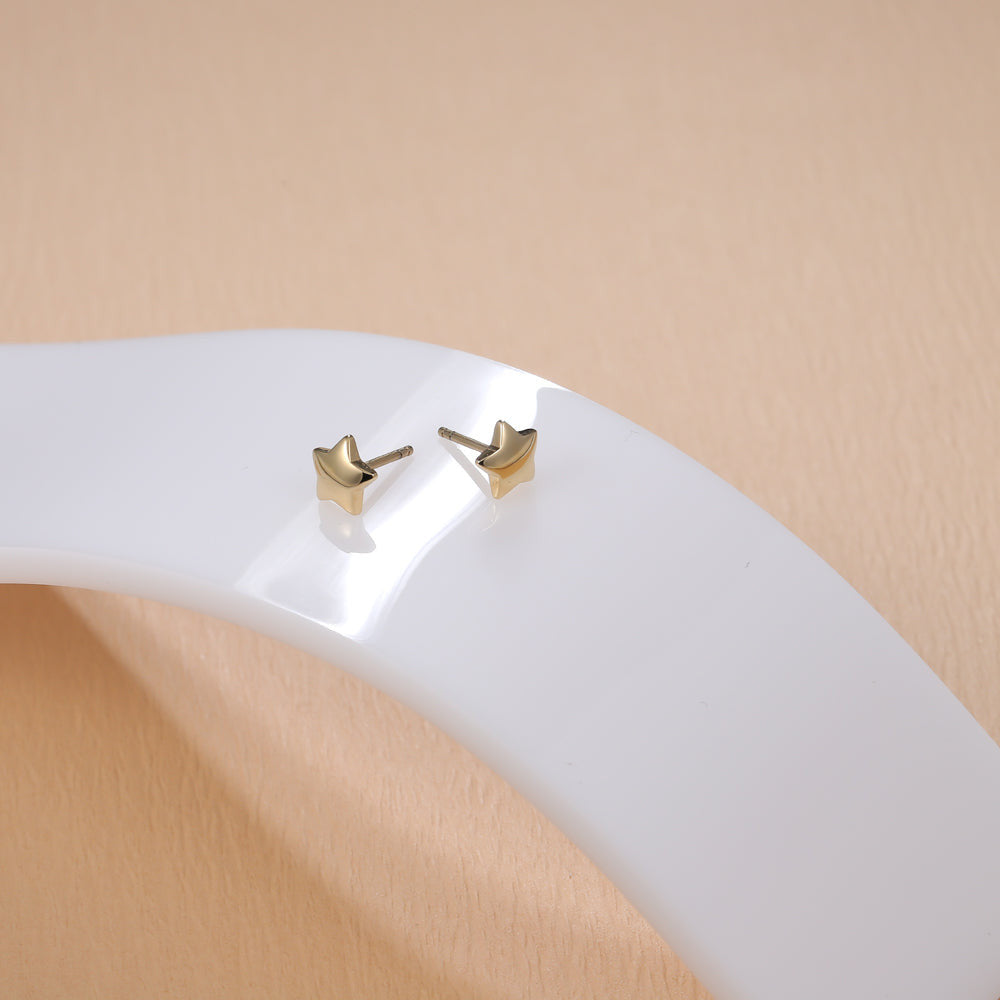 ESS301 STAINLESS STEEL EARRING