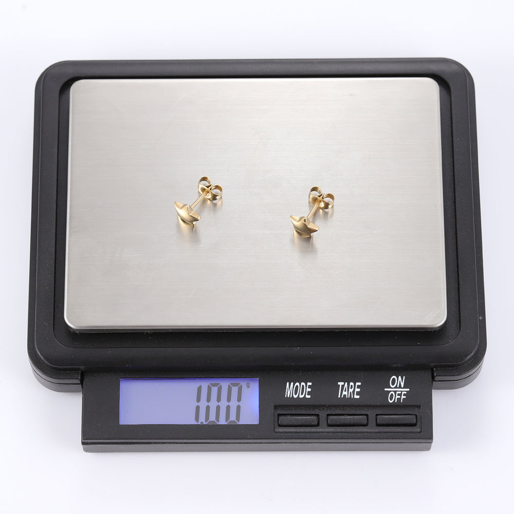 ESS301 STAINLESS STEEL EARRING