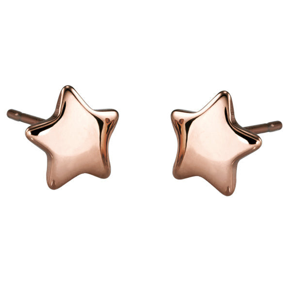 ESS301 STAINLESS STEEL EARRING