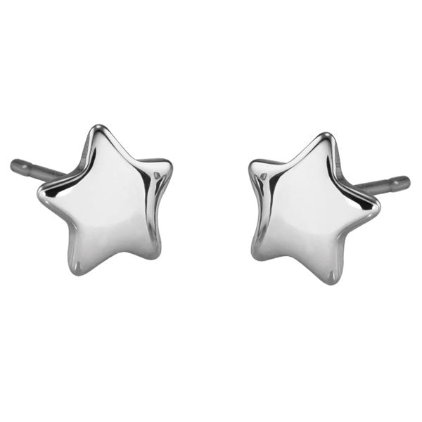 ESS301 STAINLESS STEEL EARRING