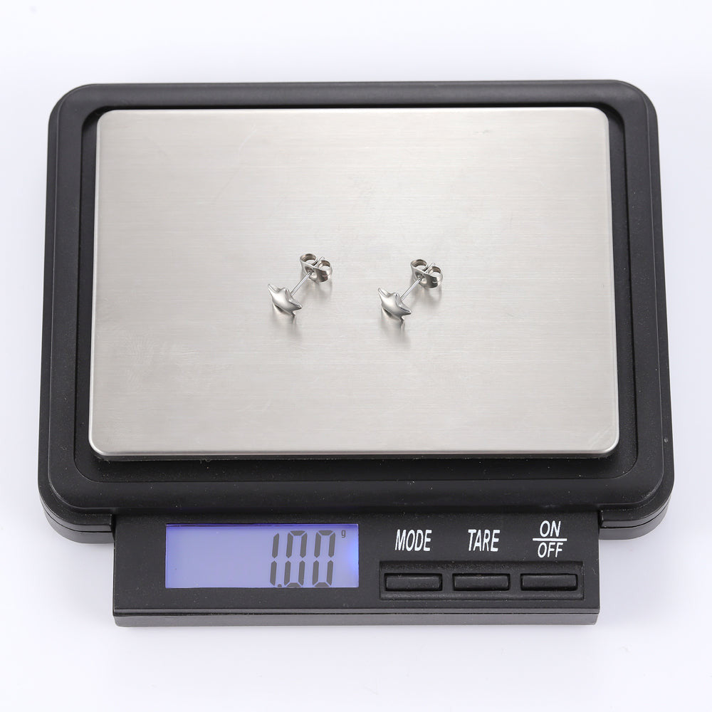 ESS301 STAINLESS STEEL EARRING
