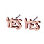 ESS337 STAINLESS STEEL EARRING AAB CO..