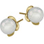 ESS338  STAINLESS STEEL EARRING