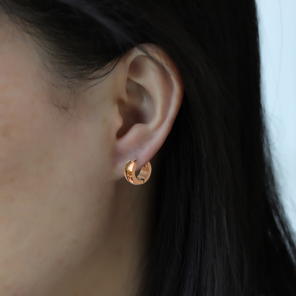 ESS364 STAINLESS STEEL EARRING AAB CO..