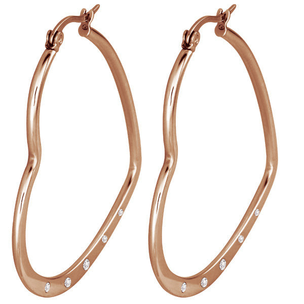 ESS397 STAINLESS STEEL EARRING AAB CO..