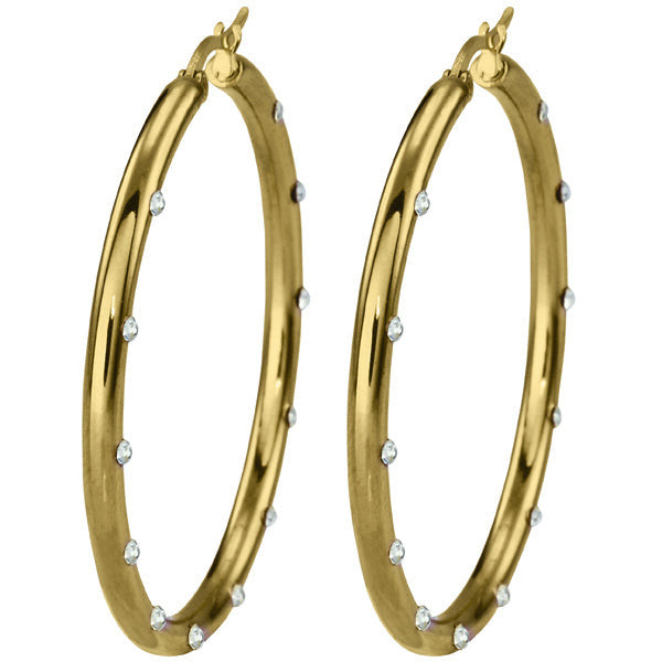 ESS407 STAINLESS STEEL EARRING AAB CO..