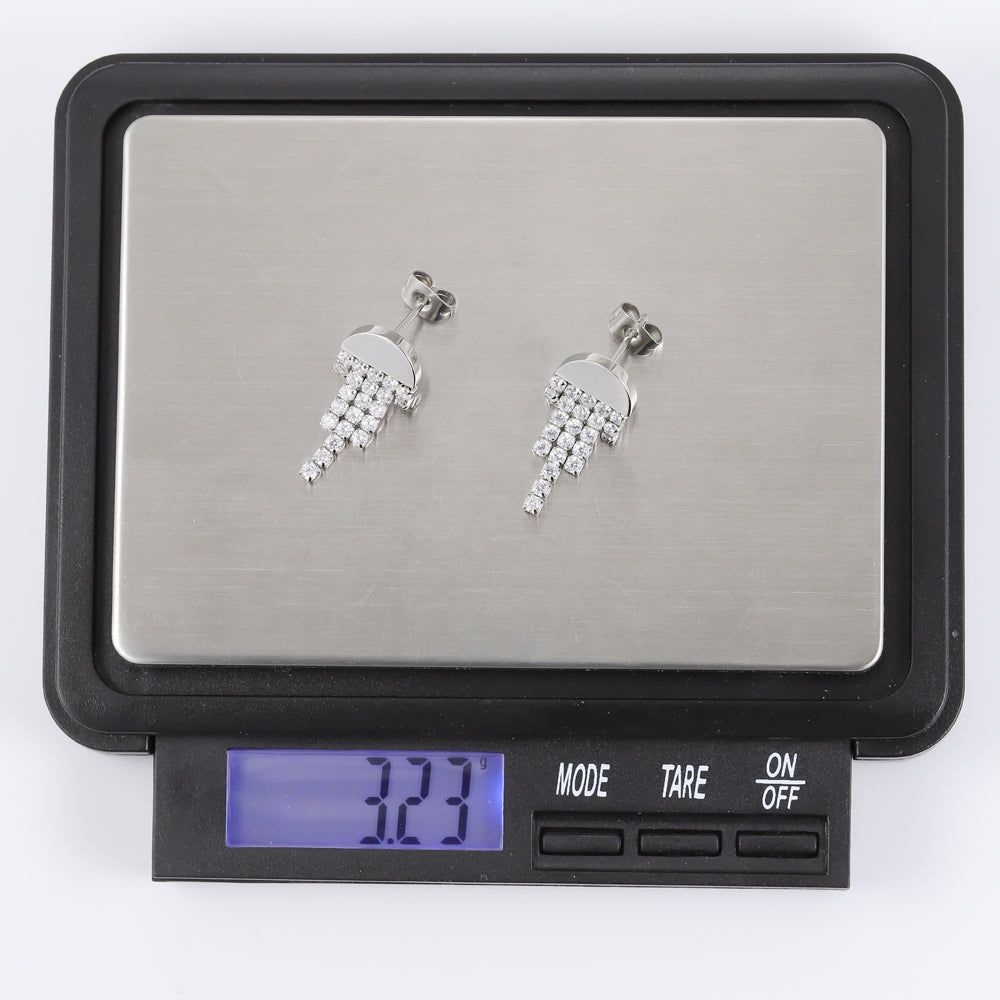 ESS449 STAINLESS STEEL EARRING AAB CO..