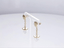 ESS450 STAINLESS STEEL EARRING AAB CO..