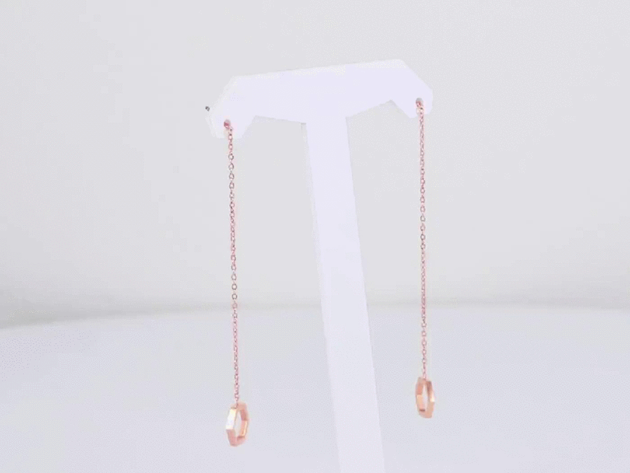 ESS645 STAINLESS STEEL EARRING WITH HEXAGON AAB CO..