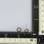 ESS648 STAINLESS STEEL EARRING AAB CO..