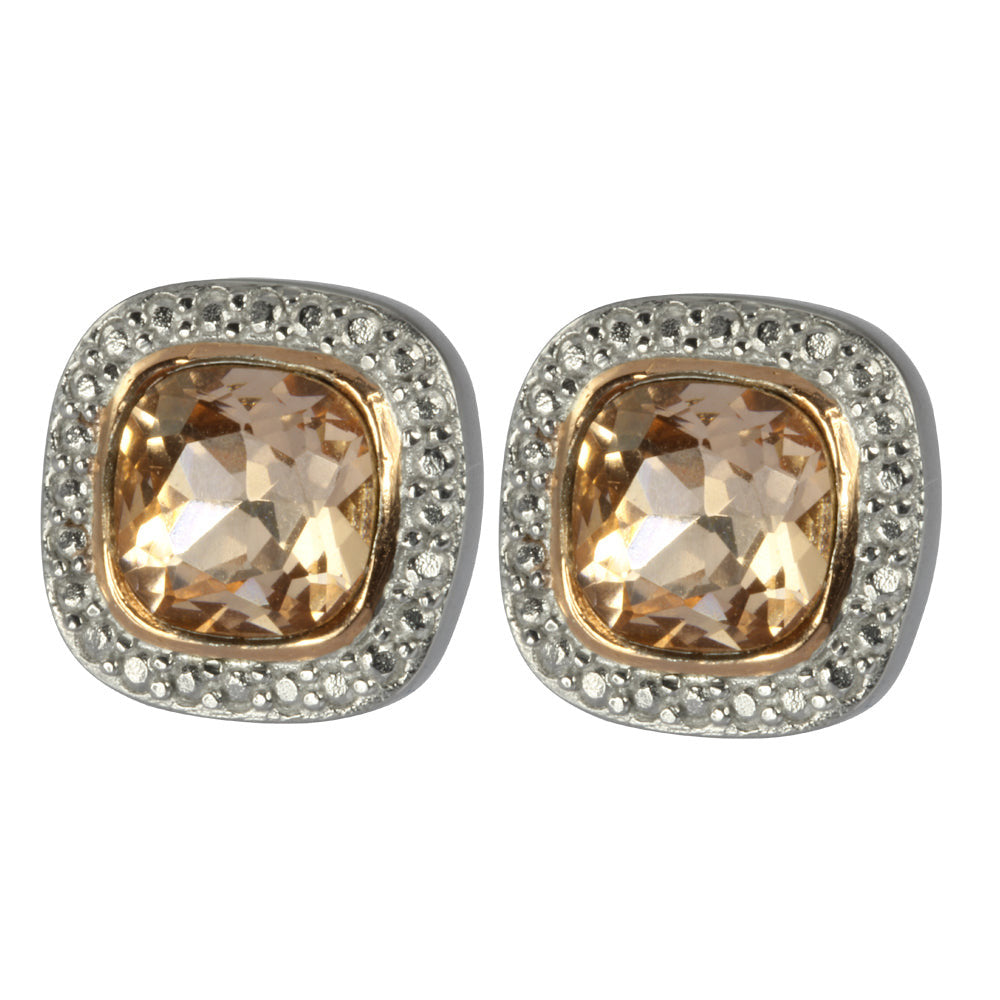 ESS668 STAINLESS STEEL EARRING
