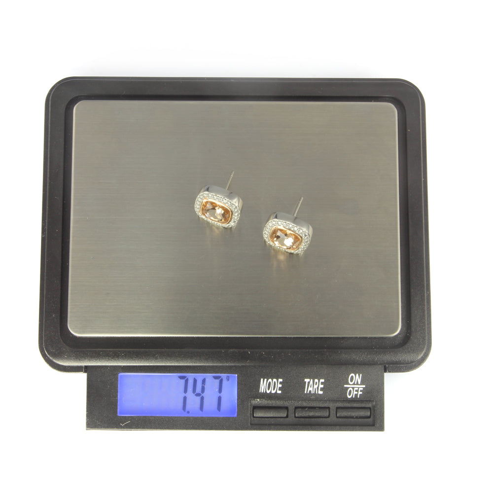ESS668 STAINLESS STEEL EARRING AAB CO..