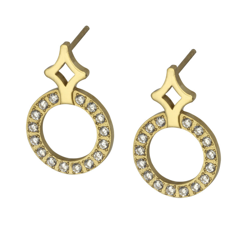 ESS669 STAINLESS STEEL EARRING