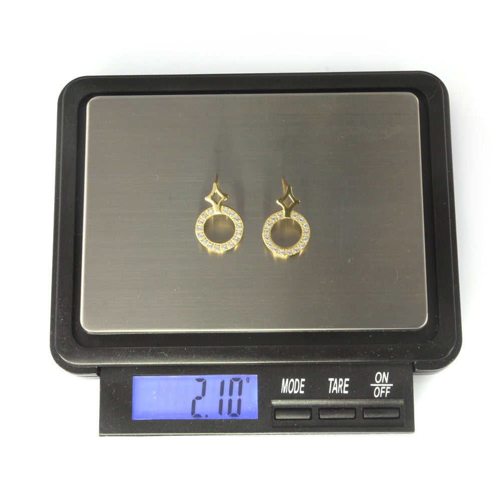 ESS669 STAINLESS STEEL EARRING