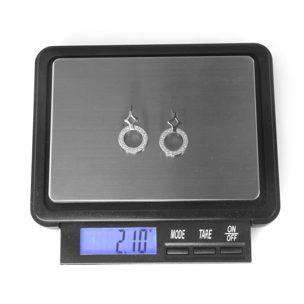 ESS669 STAINLESS STEEL EARRING