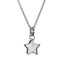 EXP179A.P STAINLESS STEEL PENDANT