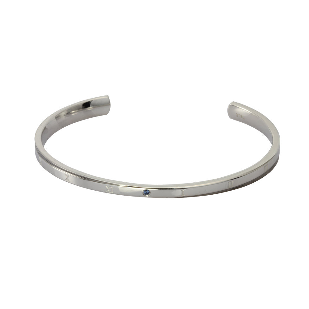 GBSG103 STAINLESS STEEL BANGLE