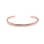 GBSG13 STAINLESS STEEL BANGLE