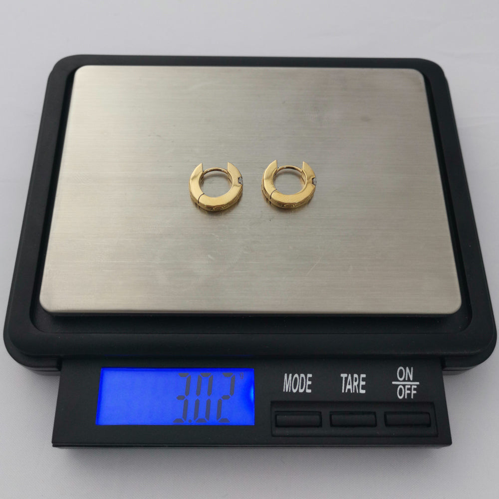GESS205 STAINLESS STEEL EARRING AAB CO..